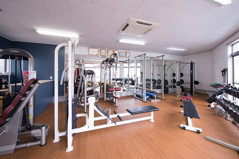 SHAPE UP DOJO