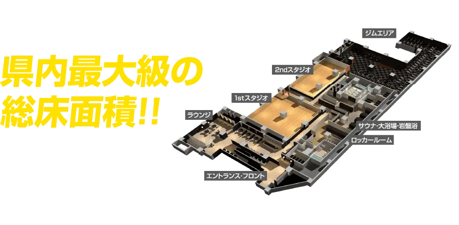県内最大級の快適空間!約600坪のスムーズな導線。高級感溢れる大型フィットネスクラブ