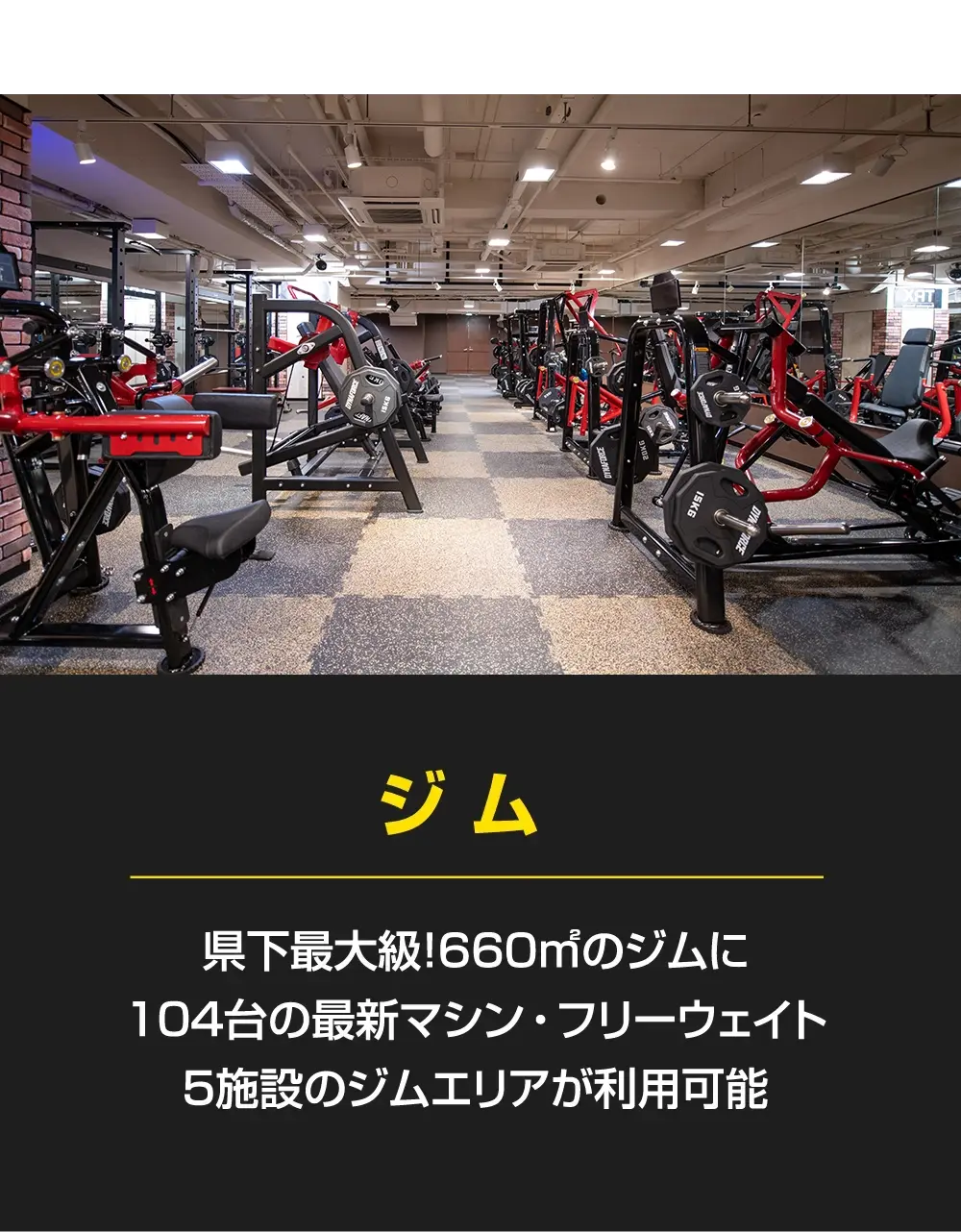 「ジム」県下最大級!660平方メートルのジムに104台の最新マシン・フリーウェイト。5施設のジムエリアが利用可能